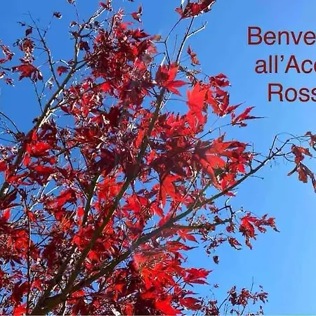 Appartamento Acero Rosso 88 Ciriè